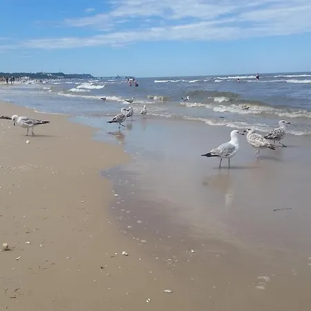 Ines Dom wakacyjny Korswandt